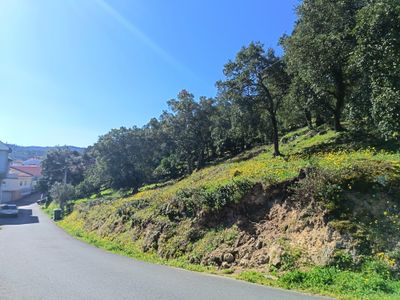 Terreno Urbanizable 3378 m² en Piñeiral (O) (32911)