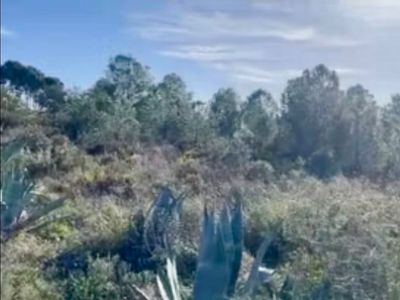 Terreno 11000 m² en Llíria (46160)