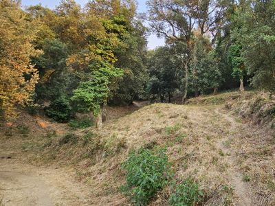 Terreno 1331 m² en Vallgorguina (08471)
