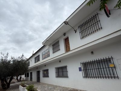 Local 938 m² en Málaga (29014)