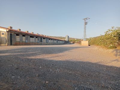 Nave 1569 m² en Higueruelas (46162)