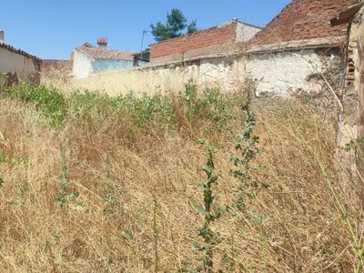 Terreno Urbanizable 225 m² en Santa Ana de Pusa (45653)