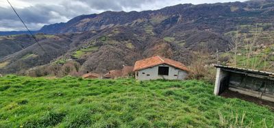 Casa Rural 270 m² en GRANDIELLA/GRANDIEL.LA (33160)